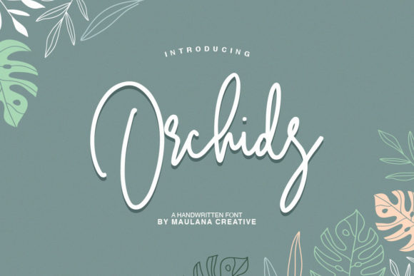 Orchids Font: Elevating Web Design with Script Amp
